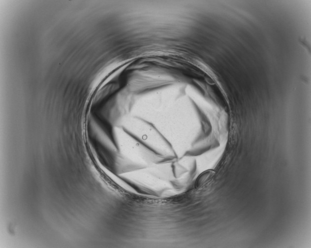 X0000101170811200807251131