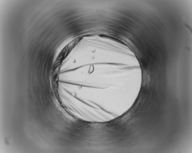 X0000101170812200807251131