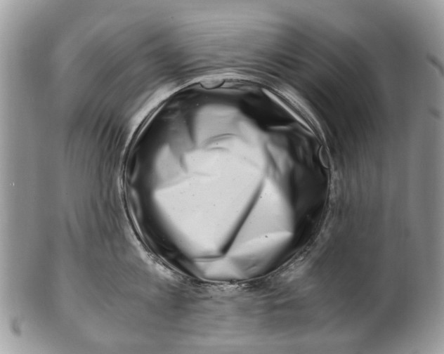 X0000101170813200807251131