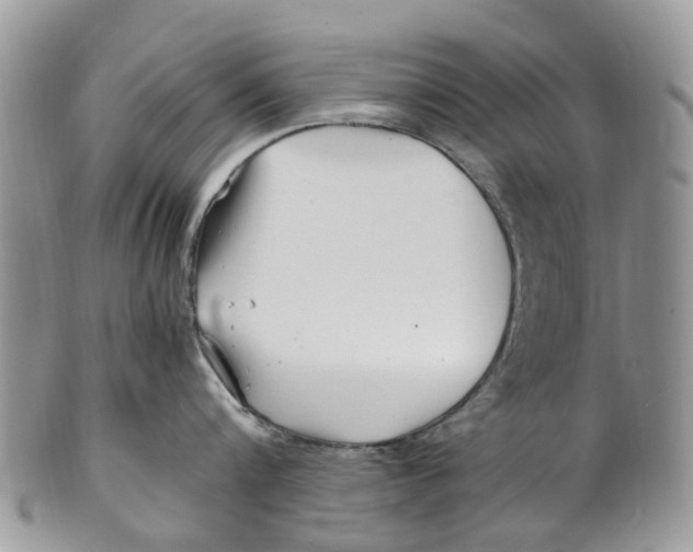 X0000101170816200807251131