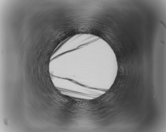 X0000101170817200807251130