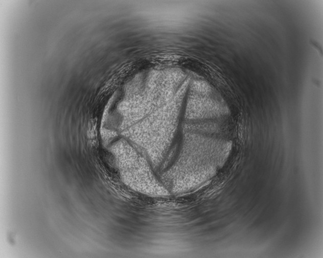 X0000101170818200807251130