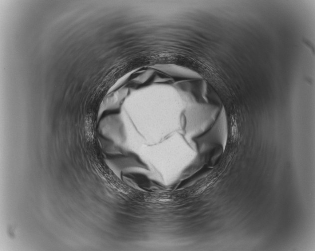 X0000101170819200807251130