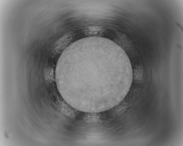 X0000101170820200807251130