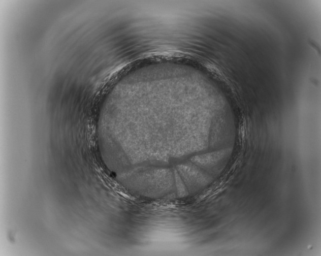 X0000101170822200807251131