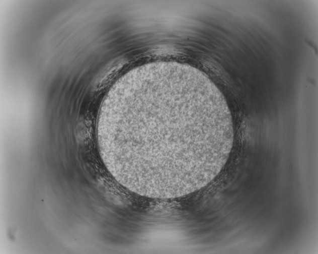 X0000101170824200807251131