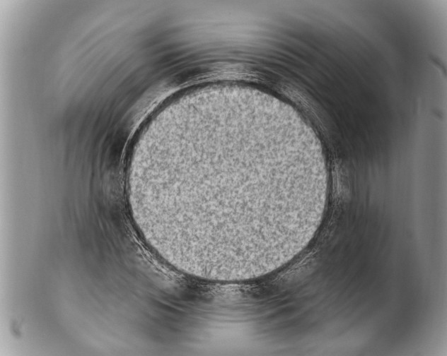 X0000101170828200807251131