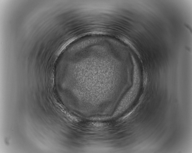 X0000101170829200807251131