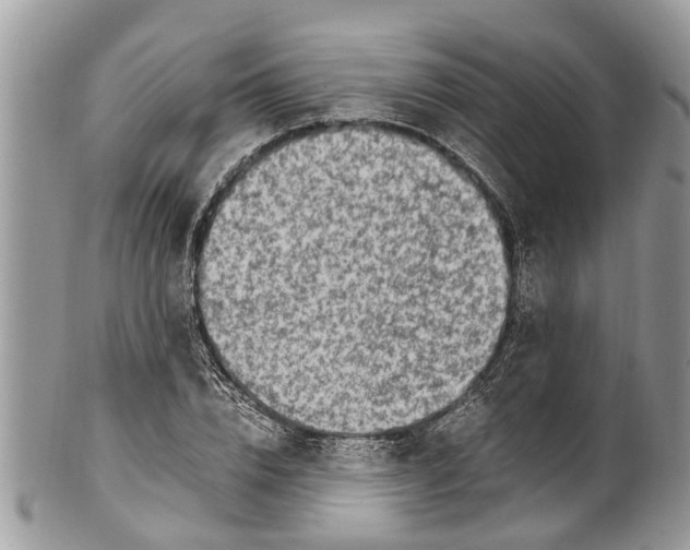 X0000101170832200807251131