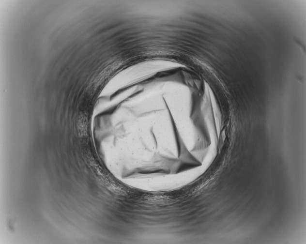 X0000101170833200807251131