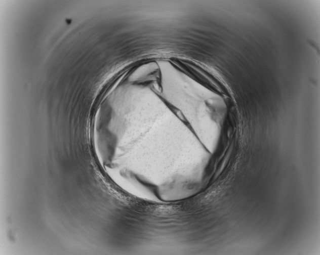 X0000101170839200807251131