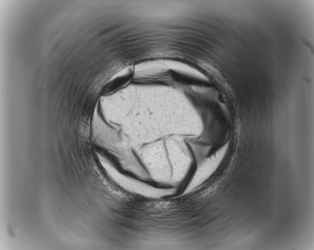 X0000101170841200807251131