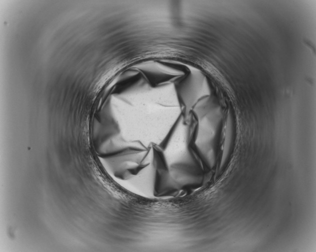 X0000101170842200807251131