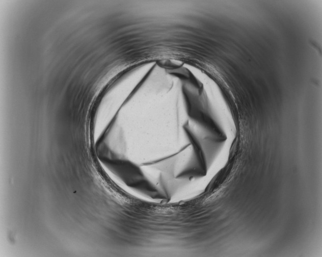 X0000101170843200807251131
