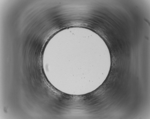 X0000101170848200807251131