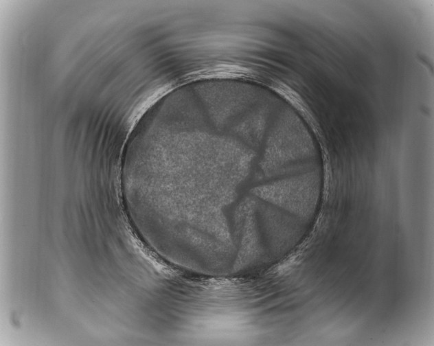 X0000101170850200807251131