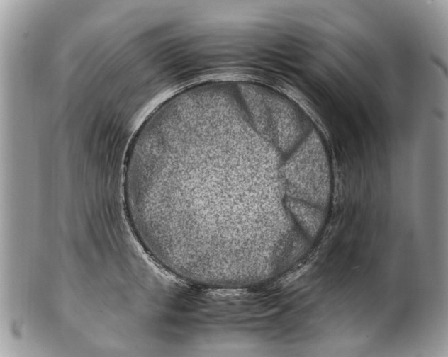 X0000101170853200807251131