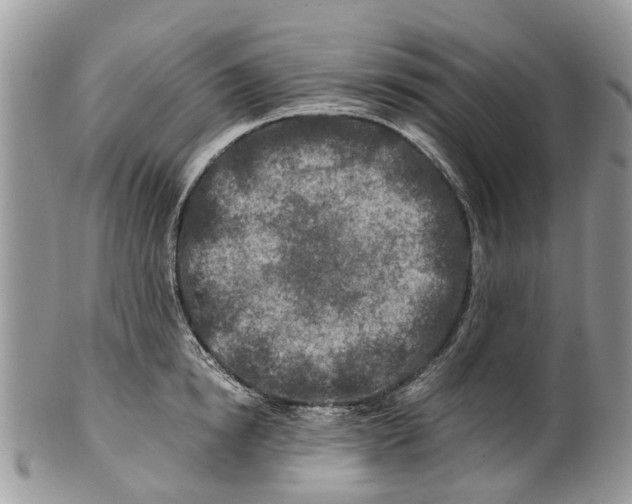 X0000101170854200807251131