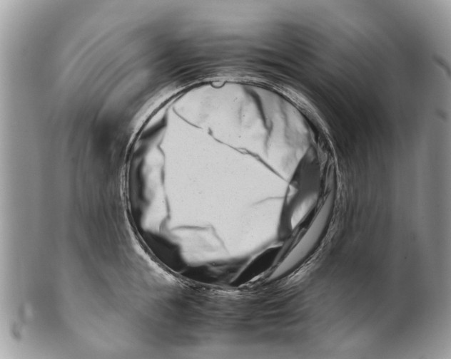 X0000101170855200807251131