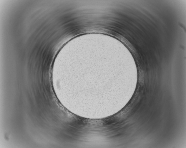 X0000101170856200807251131