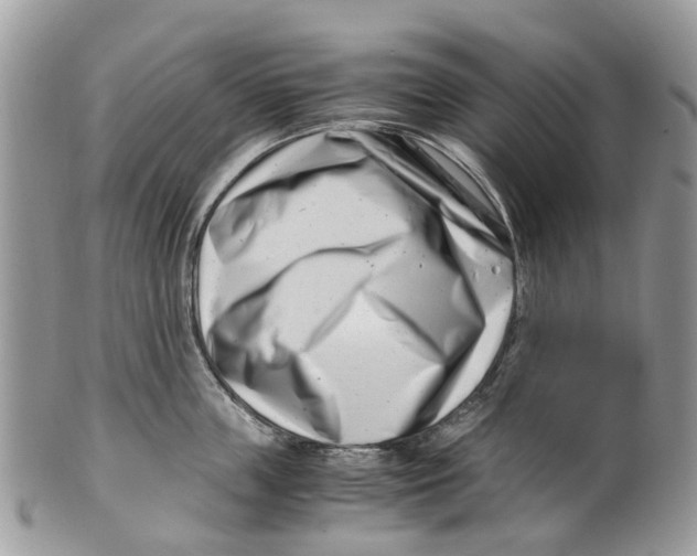 X0000101170859200807251131