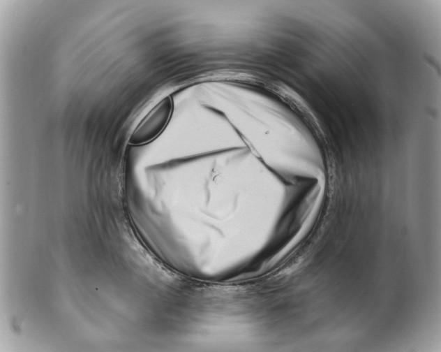X0000101170860200807251131
