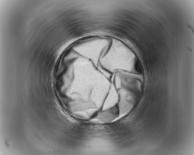 X0000101170862200807251131