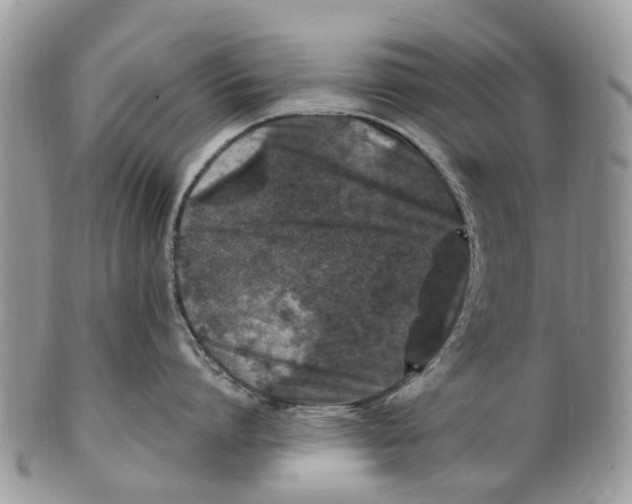 X0000101170864200807251131