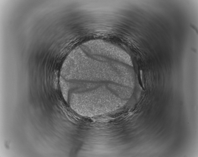 X0000101170868200807251130