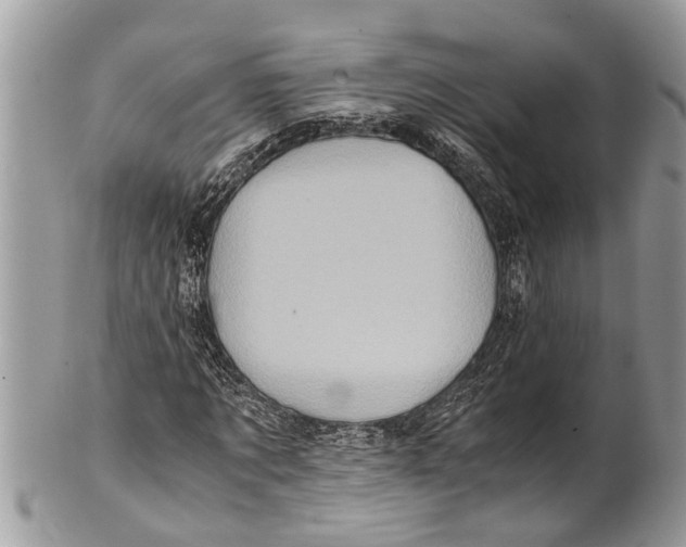 X0000101170869200807251130