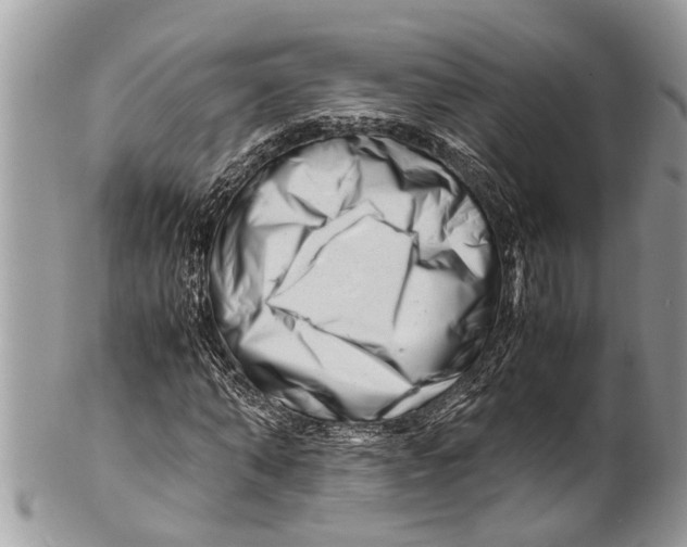 X0000101170870200807251130