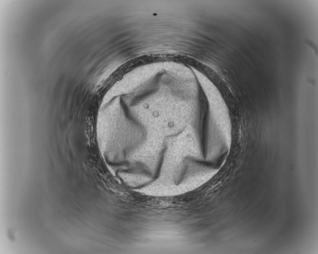 X0000101170871200807251130