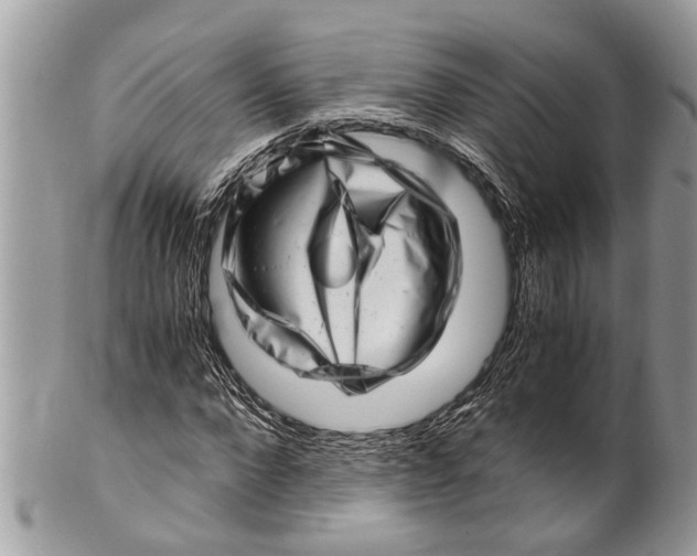X0000101170872200807251130