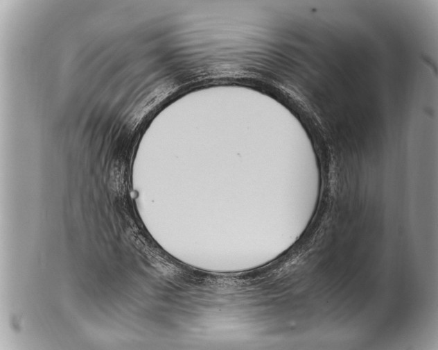X0000101170873200807251130