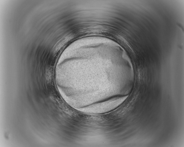 X0000101170874200807251130