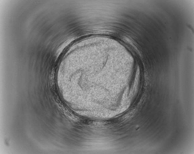 X0000101170875200807251130