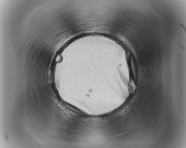 X0000101170876200807251130