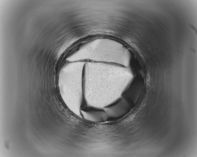 X0000101170877200807251130