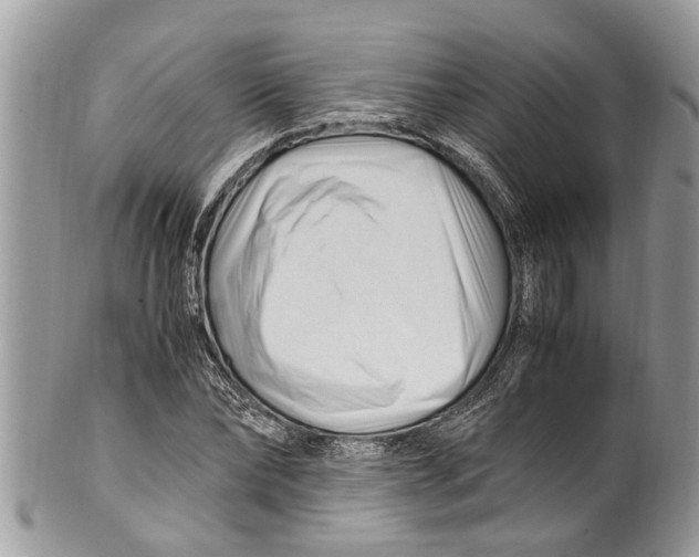 X0000101170878200807251130
