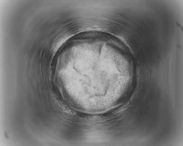 X0000101170879200807251130