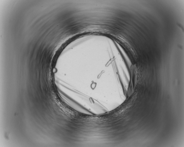 X0000101170880200807251130