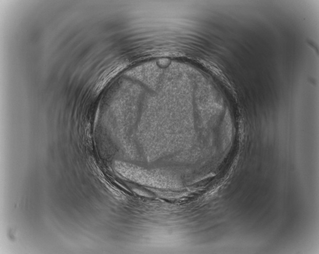 X0000101170881200807251130