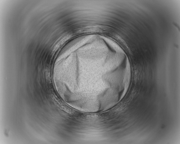 X0000101170882200807251130