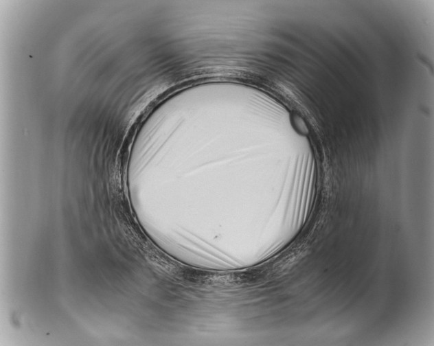 X0000101170883200807251130