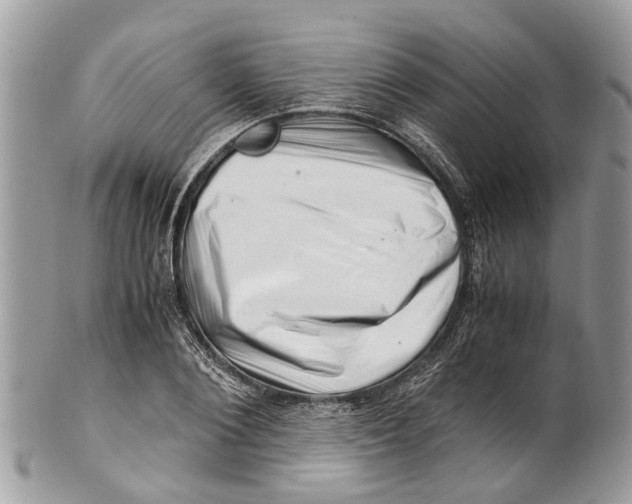 X0000101170884200807251130