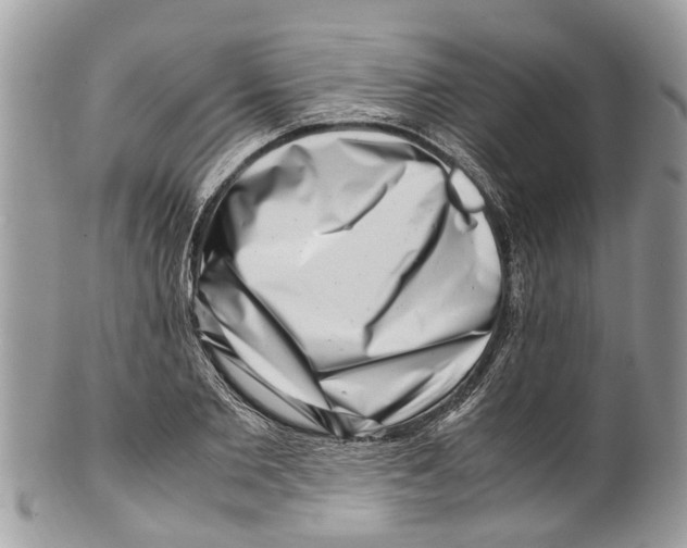 X0000101170885200807251130