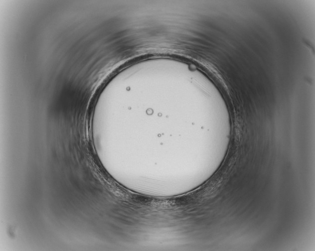 X0000101170887200807251130