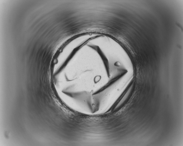 X0000101170888200807251130
