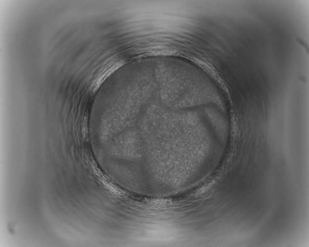 X0000101170889200807251130