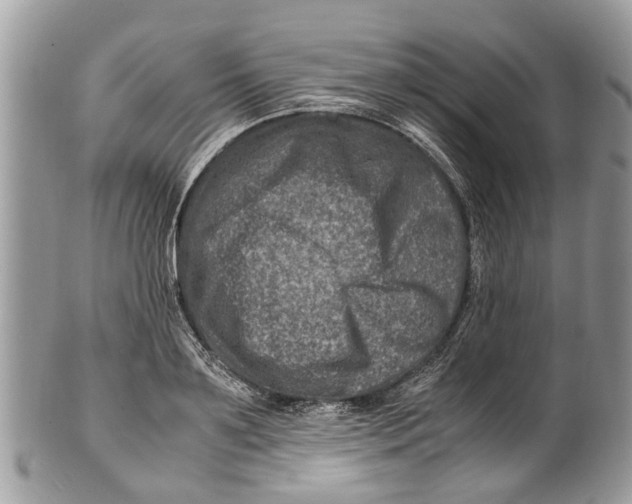 X0000101170891200807251130